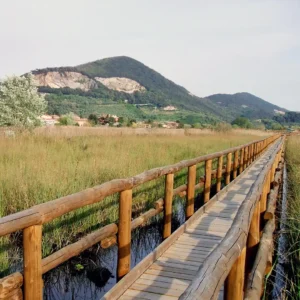 Trekking Lago di Massaciuccoli
